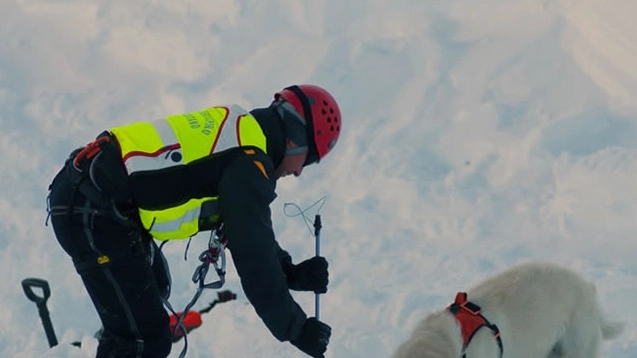  Gli operatori del Soccorso alpino sono intervenuti  con l’elicottero e le unità cinofile specializzate, ma inutilmente