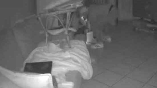 Un ladro in azione ripreso dalle telecamere di videosorveglianza