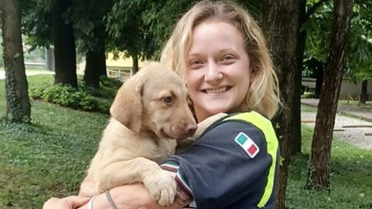 

I cuccioli di cani guida cercano una famiglia a Limbiate: l'appello del Lions