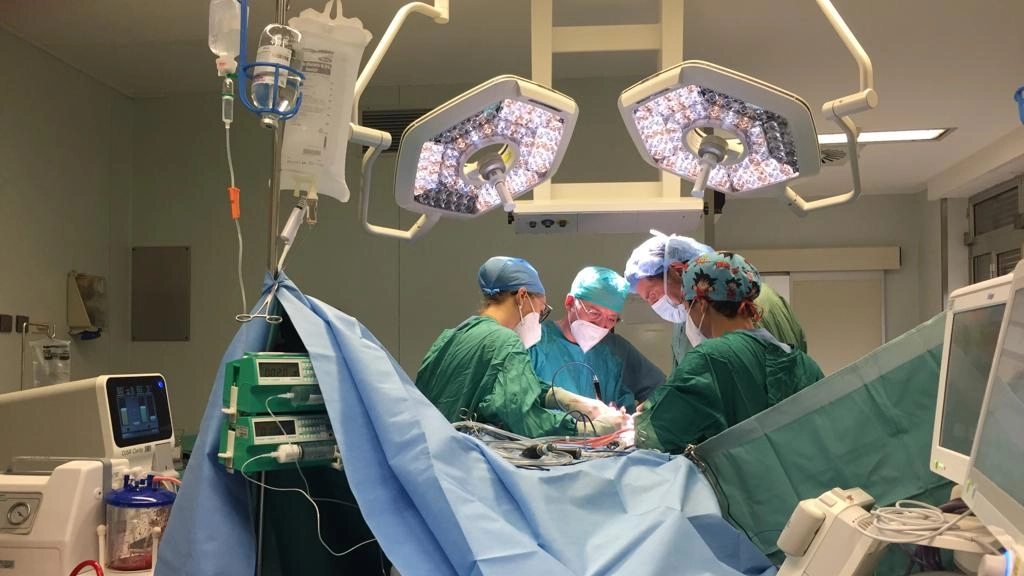 Rimosso tumore di 4 chili sopra il rene al Maggiore di Cremona, il paziente: “Sto bene”