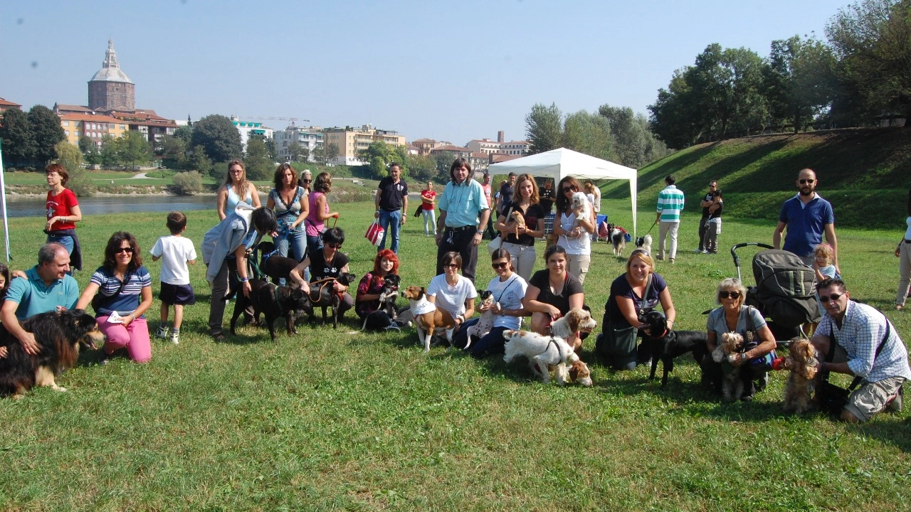 Pavia, domenica passeggiata per cani e proprietari