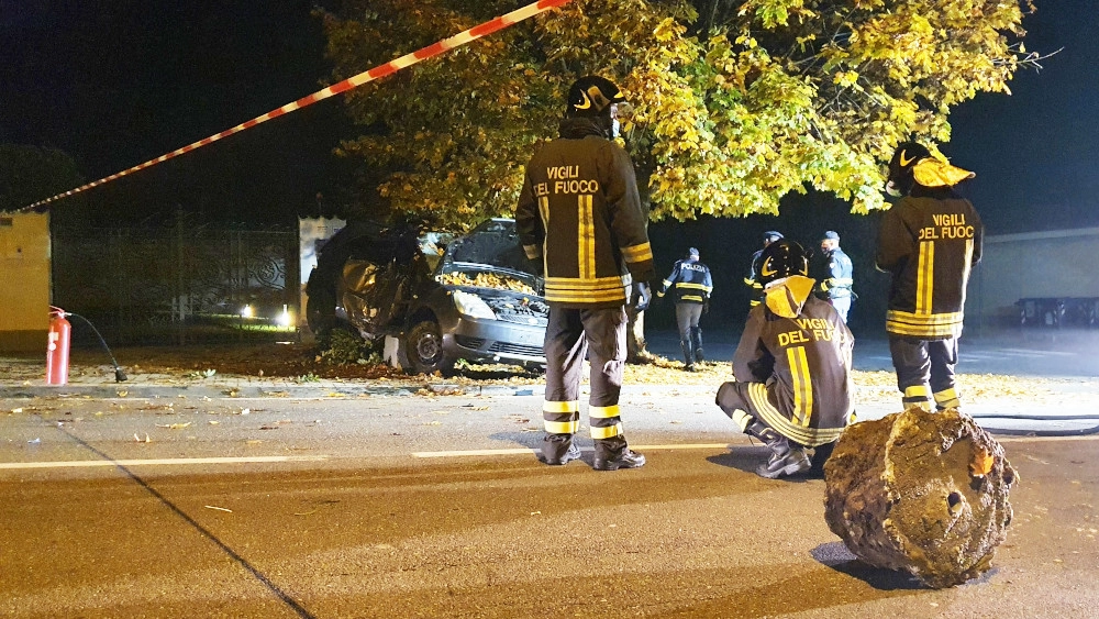 immagine di sfondo 3