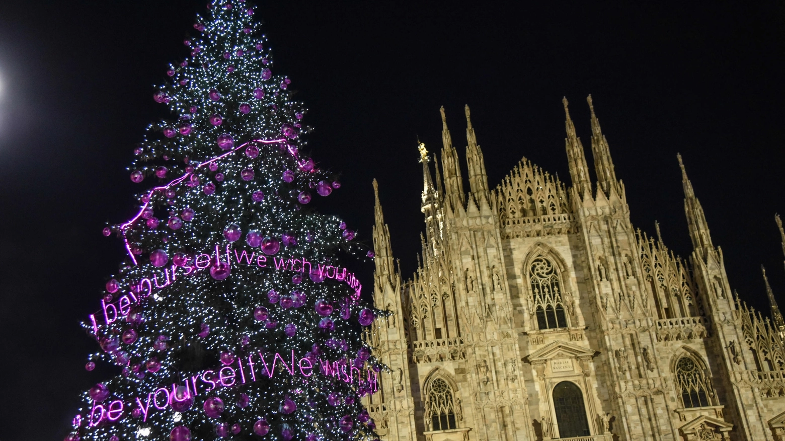 Albero di Natale 2022 in piazza Duomo