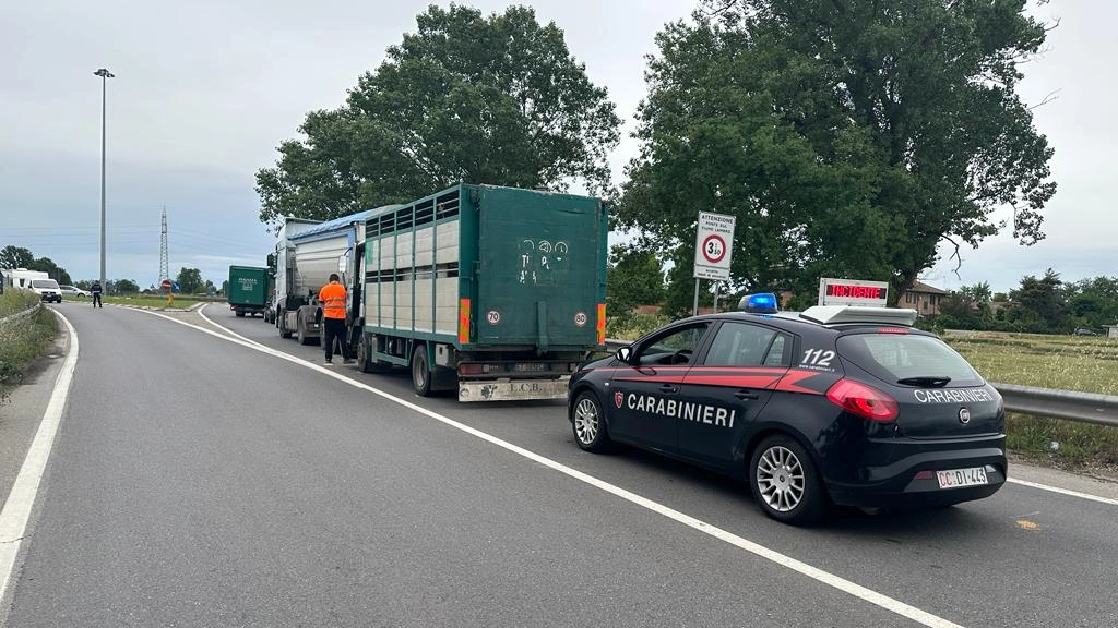 L'incidente nel Lodigiano L'incidente nel Lodigiano