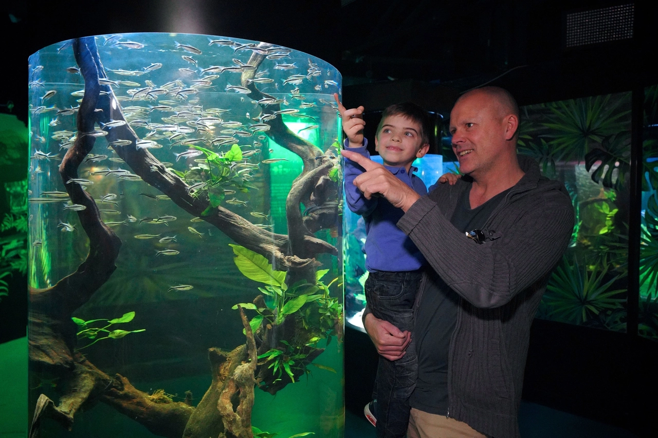 Gardaland Sea Life
