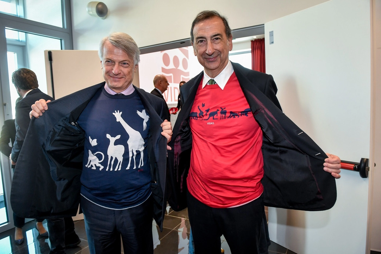 immagine di sfondo 13