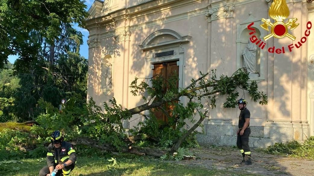 Il crollo dell’albero  Rilievi sul luogo del disastro  In azione il perito della Procura