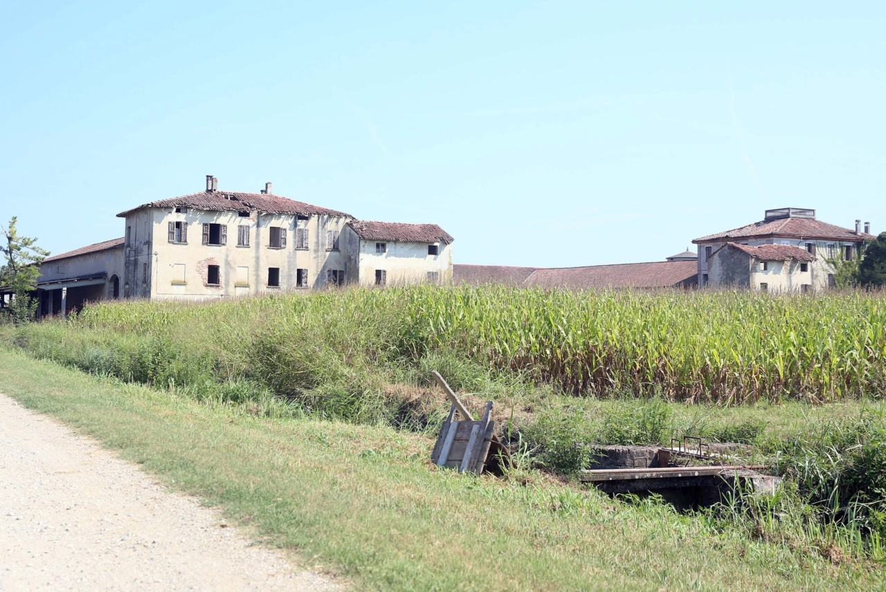 immagine di sfondo 14