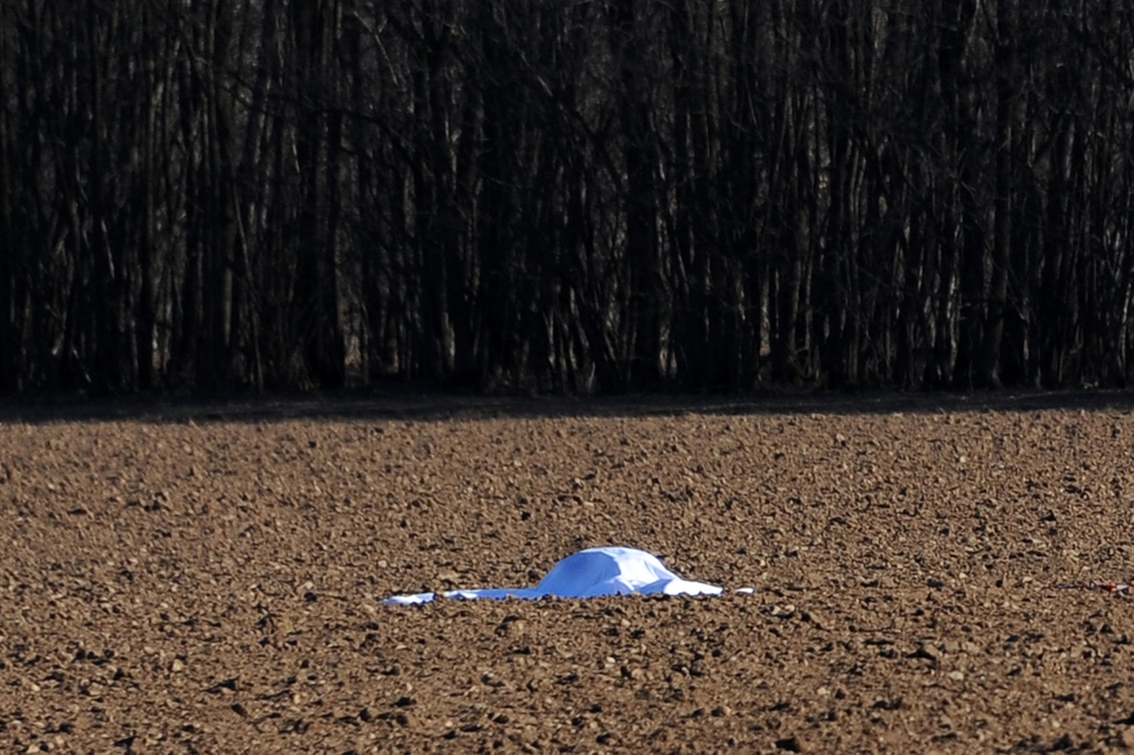 immagine di sfondo 15