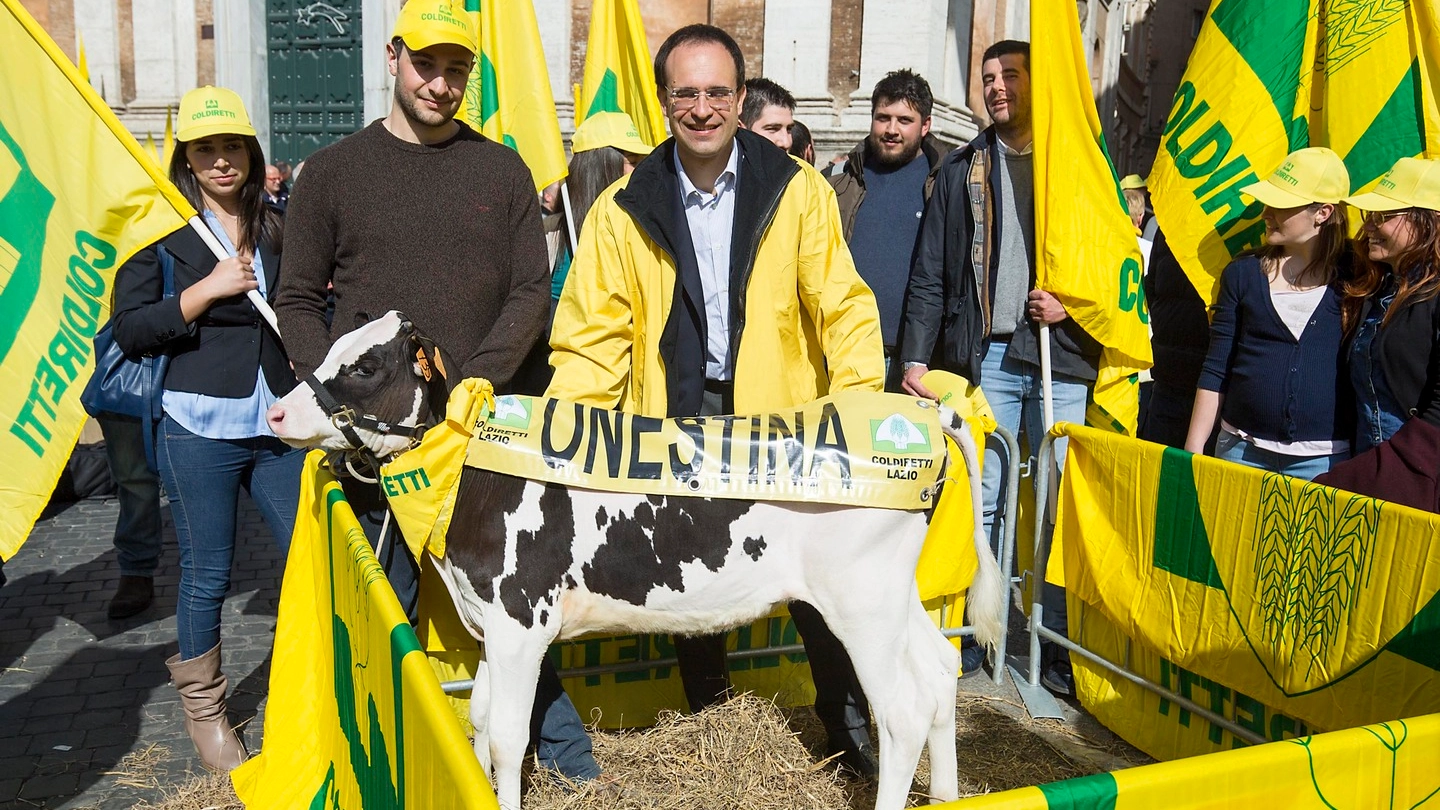 Manifestazione allevatori Coldiretti per fine regime "quote  latte" con Roberto Moncalvo