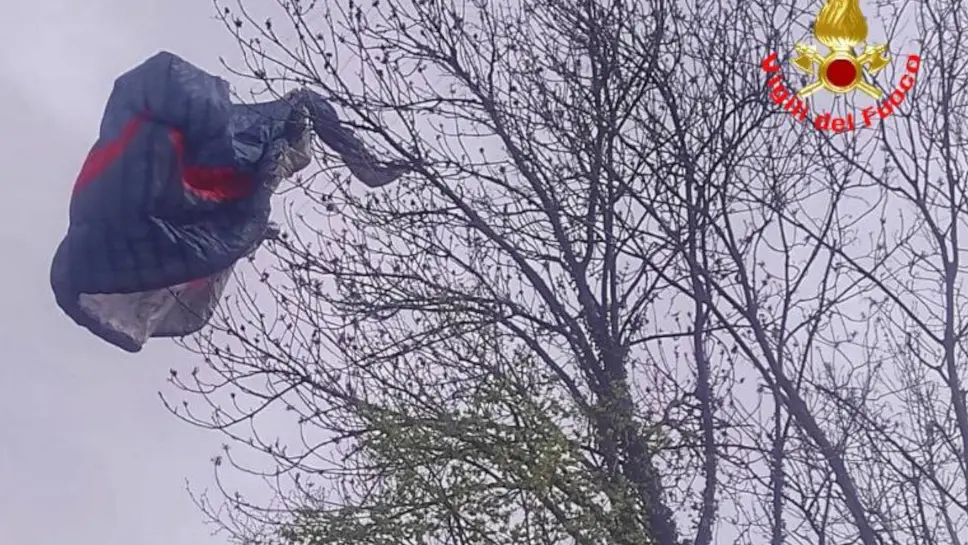 Il parapendio impigliato sull'albero Il parapendio impigliato sull'albero