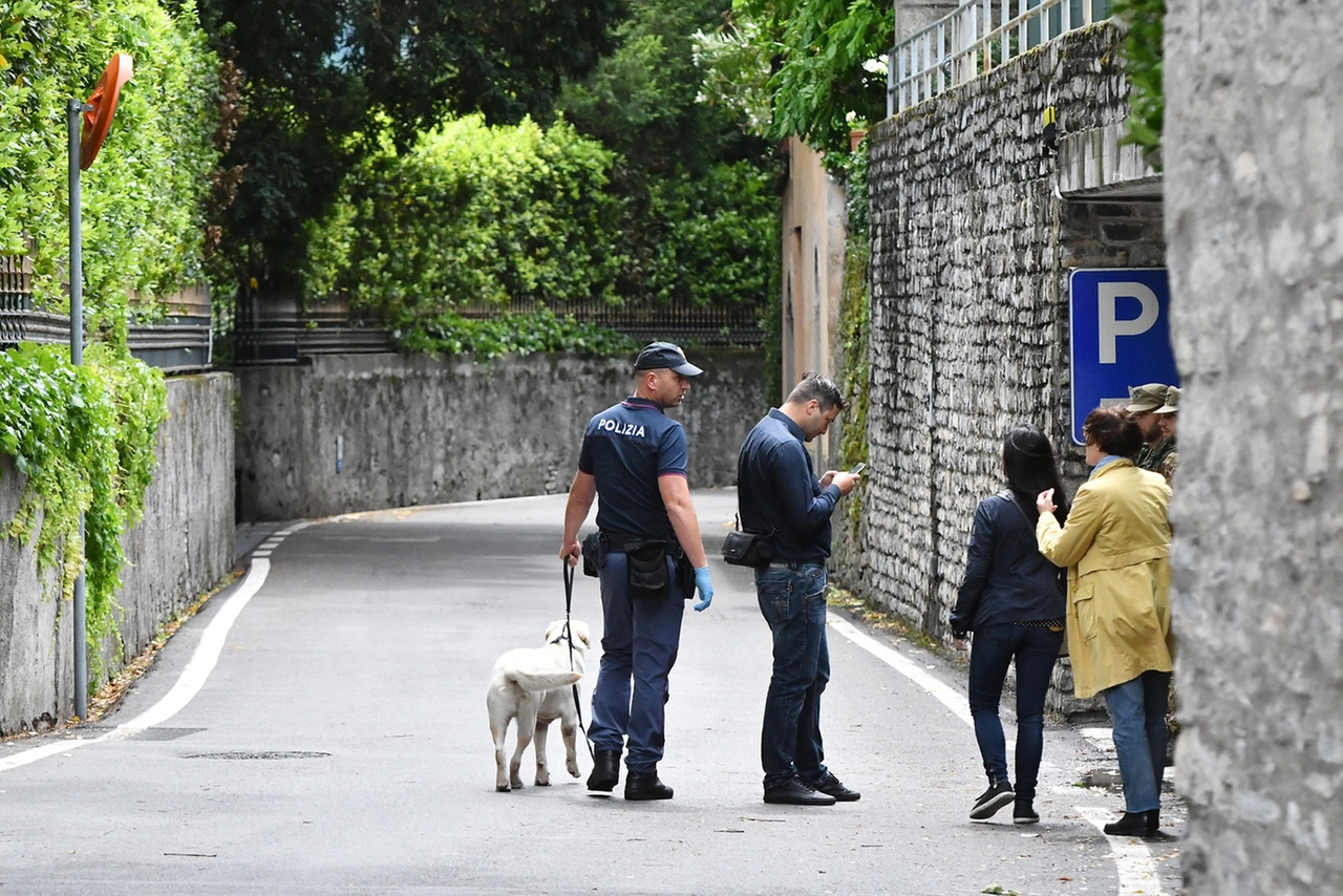 immagine di sfondo 8