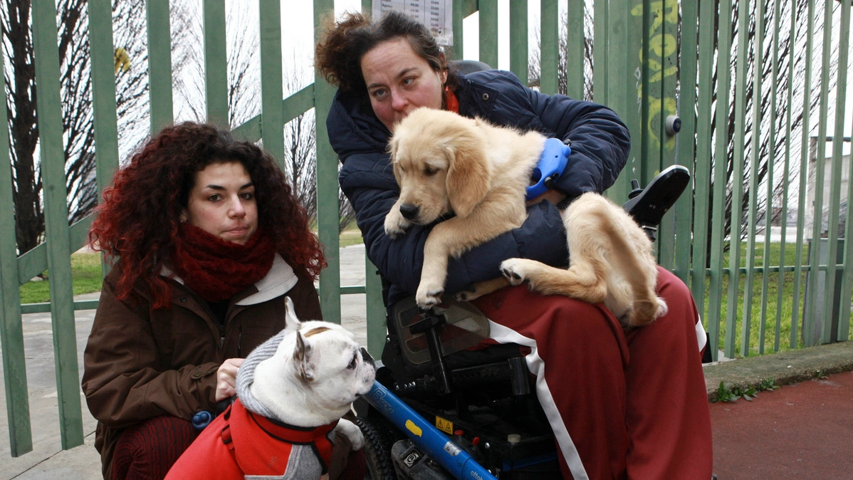 Cittadini con i loro cani davanti ai cancelli del parco Verga (NewPress)