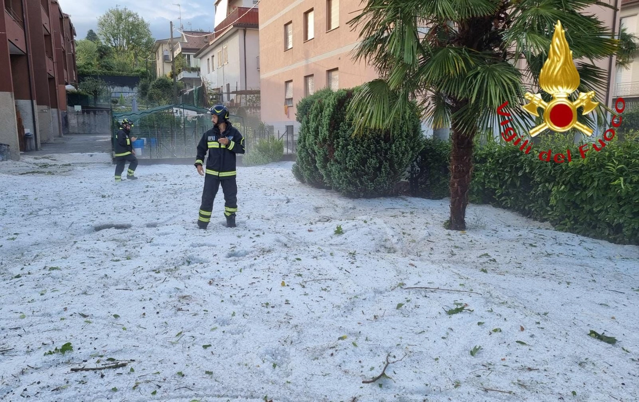 immagine di sfondo 5