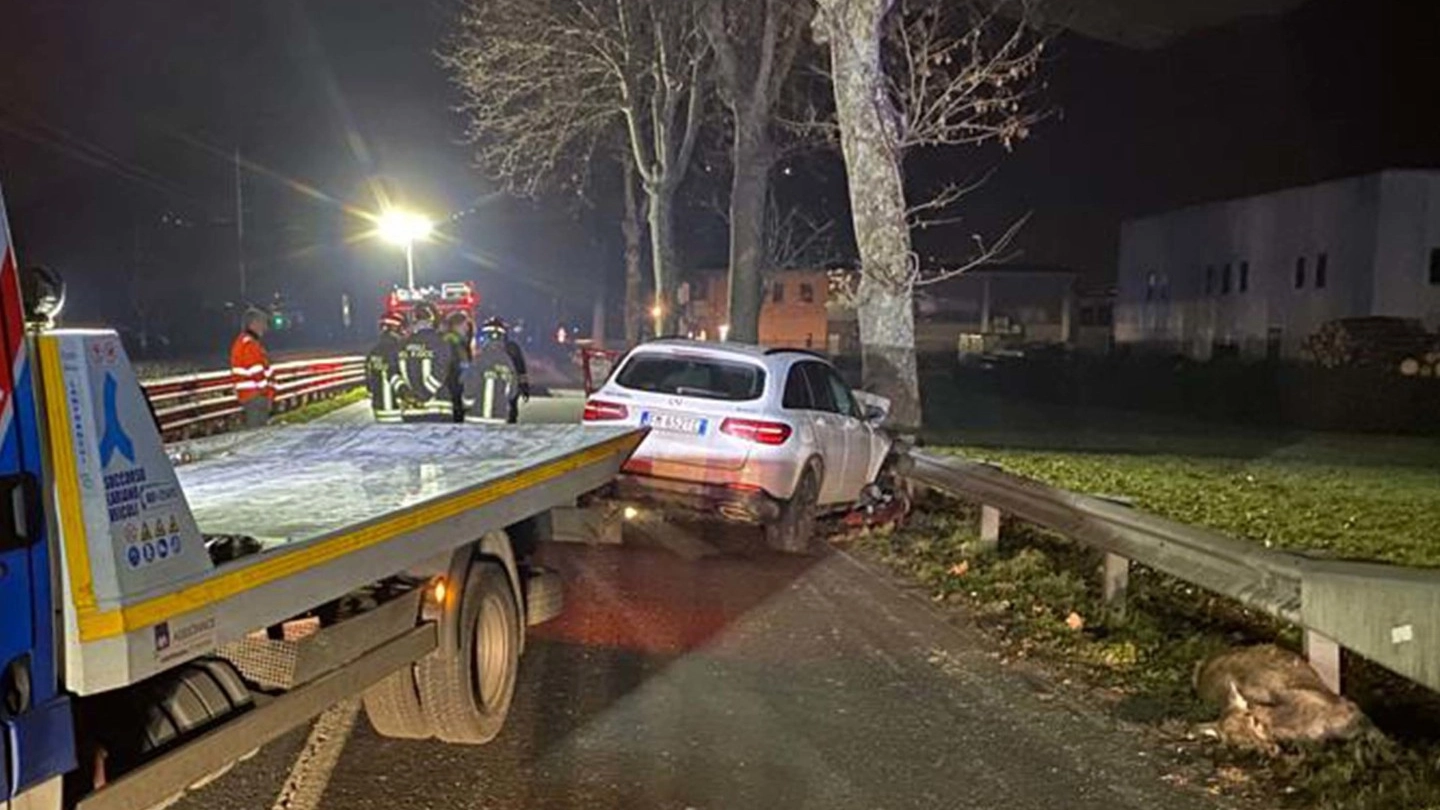 Un incidente stradale legato allo scontro con un cervo Un incidente stradale legato allo scontro con un cervo