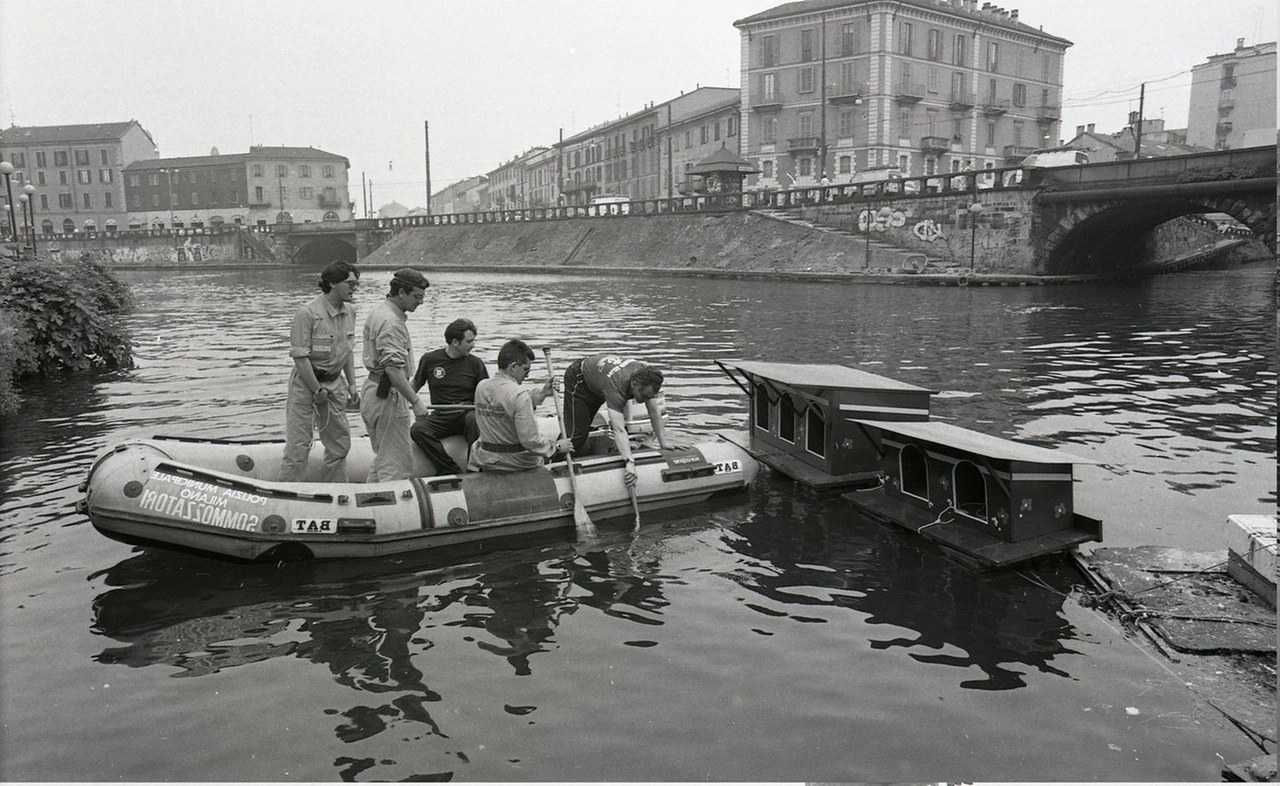 immagine di sfondo 12