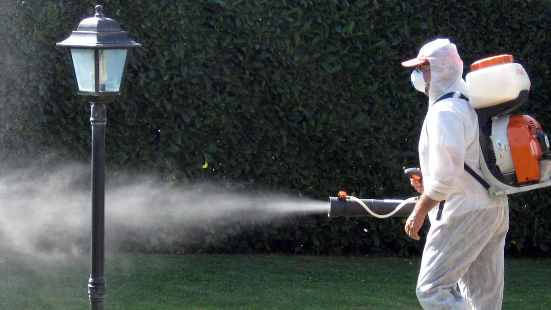 disinfestazione Dengue
