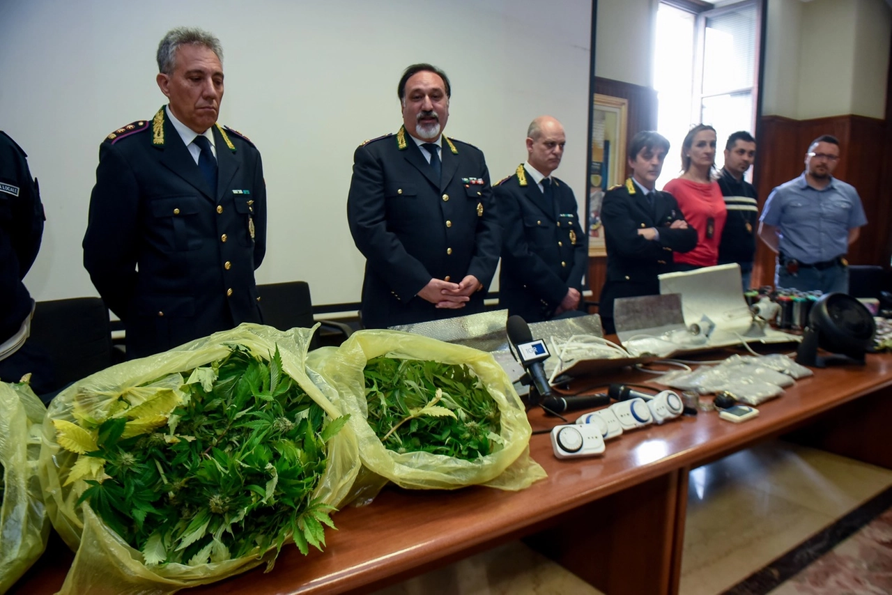 immagine di sfondo 29