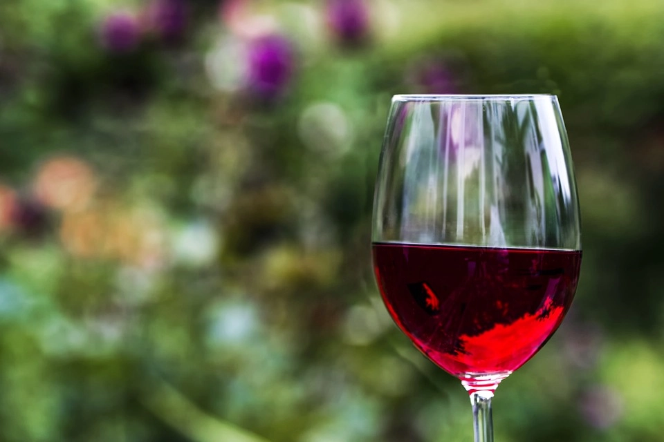 Un bicchiere di vino