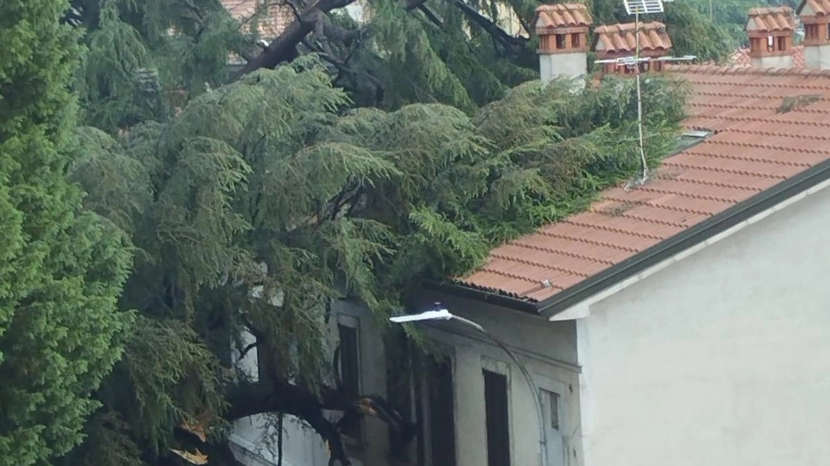 

Tetti scoperchiati e cantine allagate a Bollate: centinaia di chiamate per soccorso