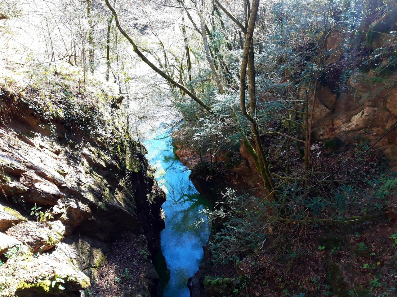 immagine di sfondo 6