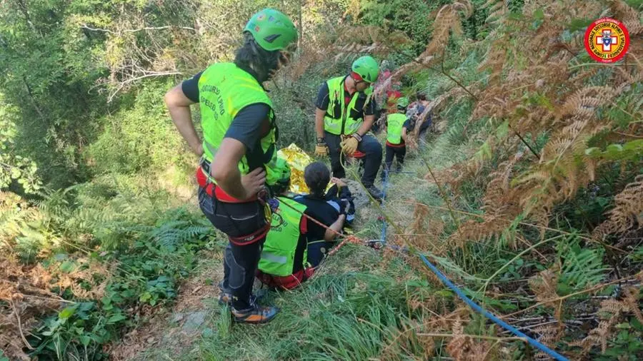 Bergamo, va a cercar funghi con un amico poi i due si dividono. Lo troveranno morto