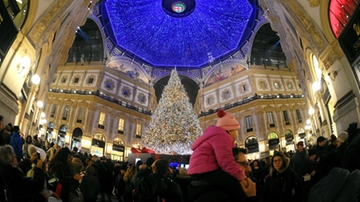 Alberi di Natale 2023 a Milano, da piazza Duomo a piazza Gae Aulenti: ecco dove sono