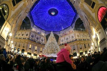 Alberi di Natale 2023 a Milano, da piazza Duomo a piazza Gae Aulenti: ecco dove sono