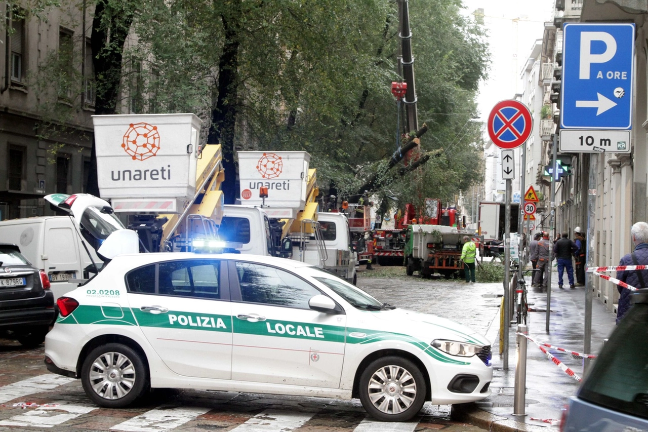 immagine di sfondo 14