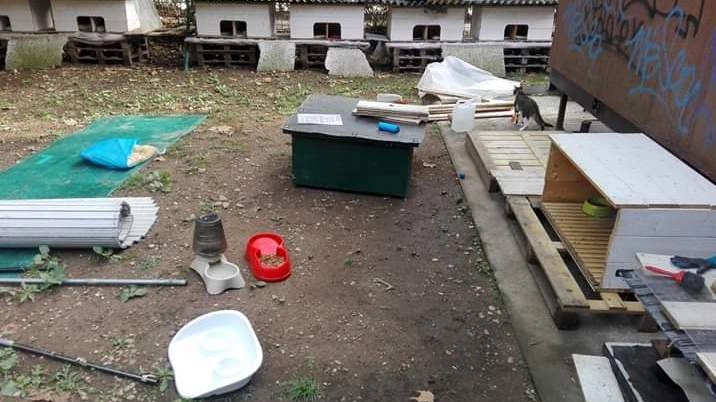 L’area del gattile di Bareggio devastata dai vandali