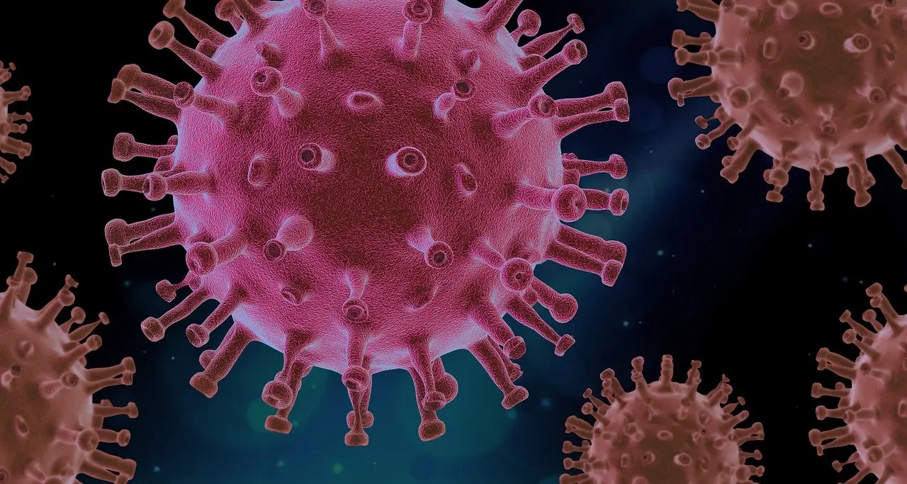 Si dice "la Covid" ma il virus è maschio