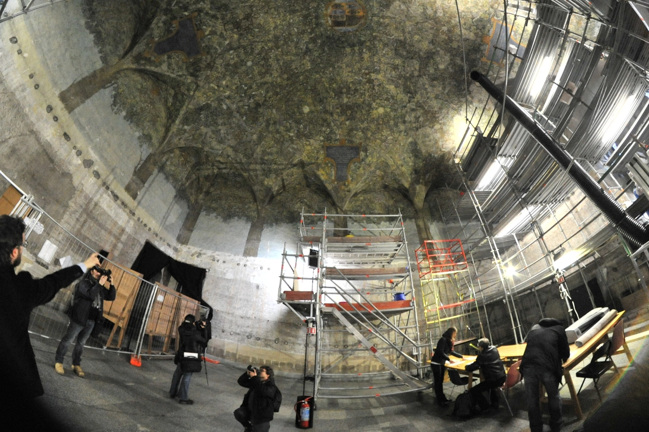 Castello Sforzesco, riapre alle visite "Sala delle Asse"