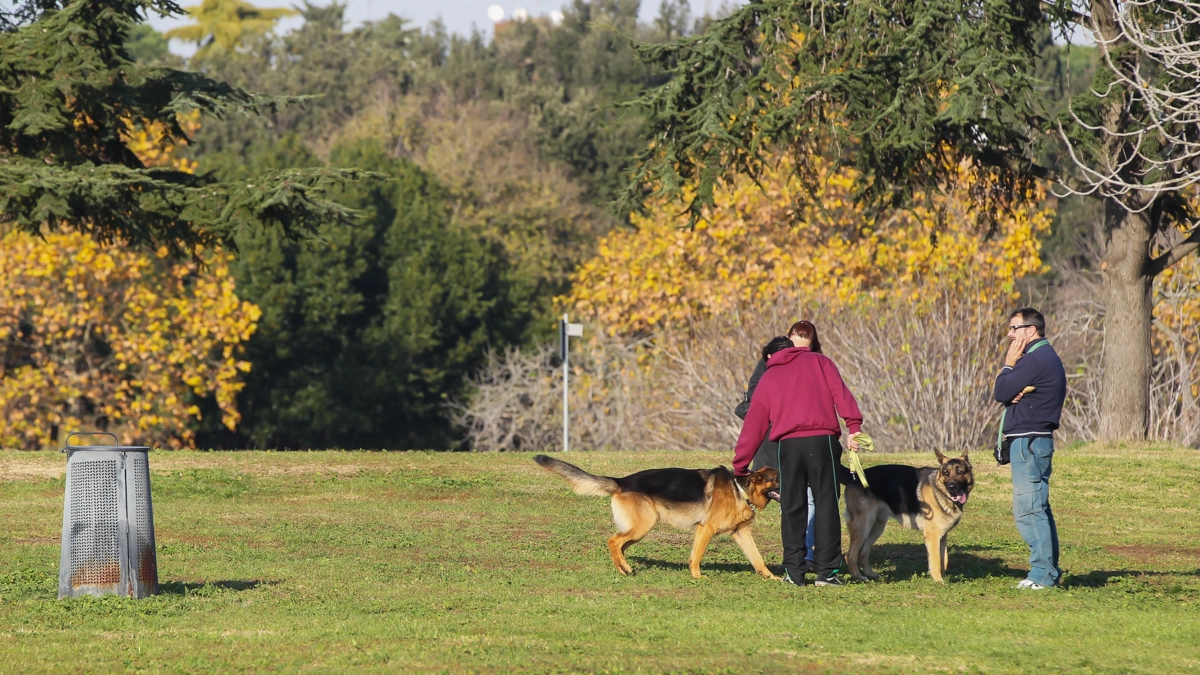 Cani e umani al parco in una foto L.Gallitto