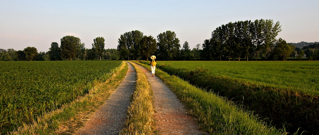 immagine di sfondo 9