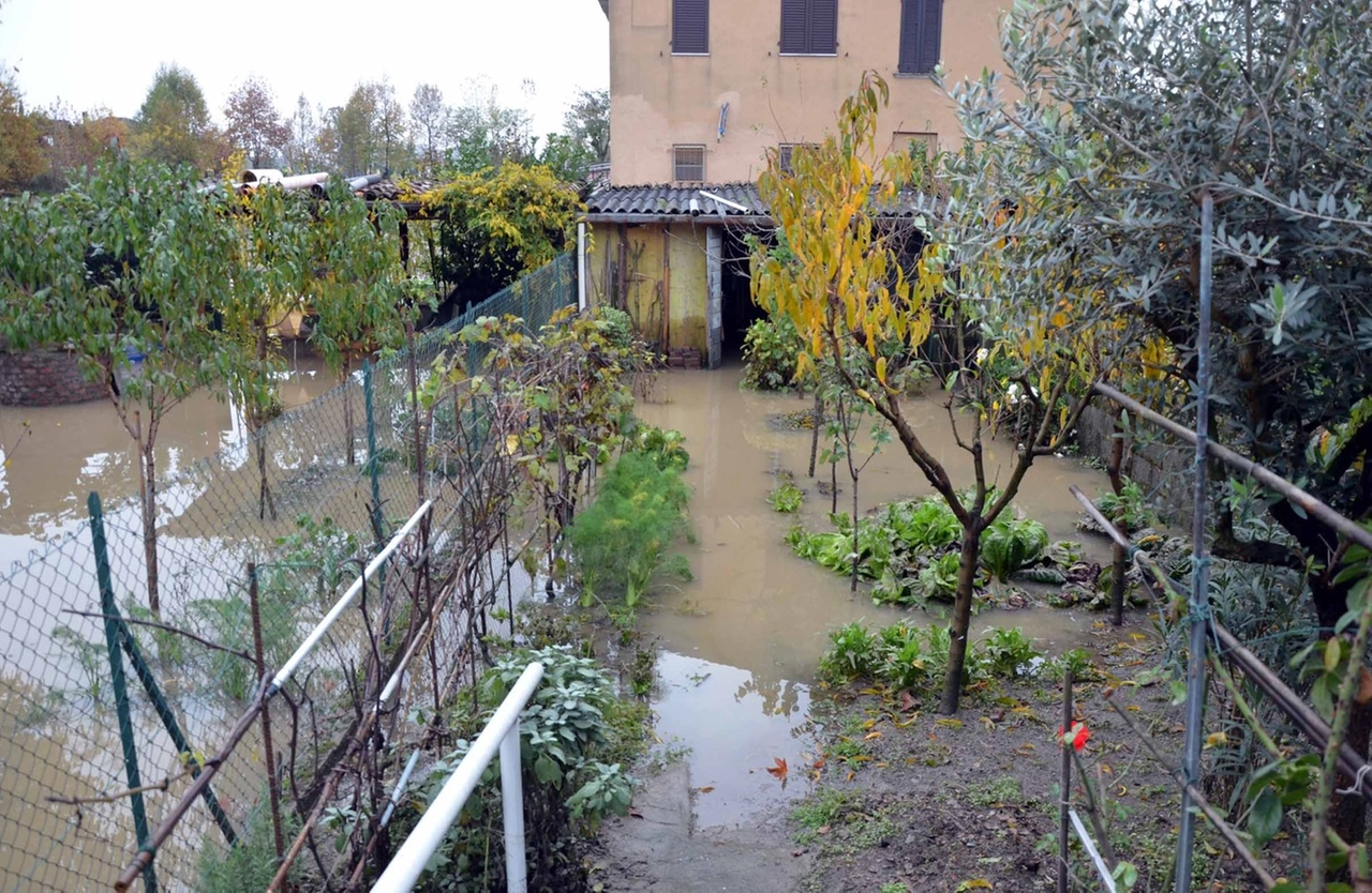 immagine di sfondo 1