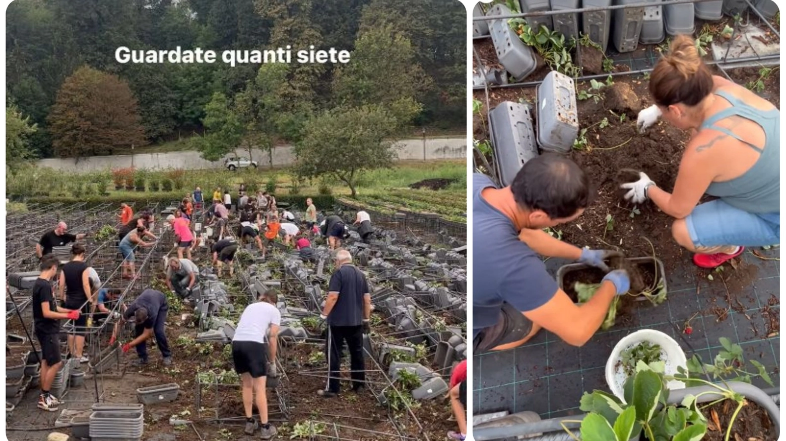 Volontari in azione a The Banker’s Jam a Besana Brianza (Foto Instagram)