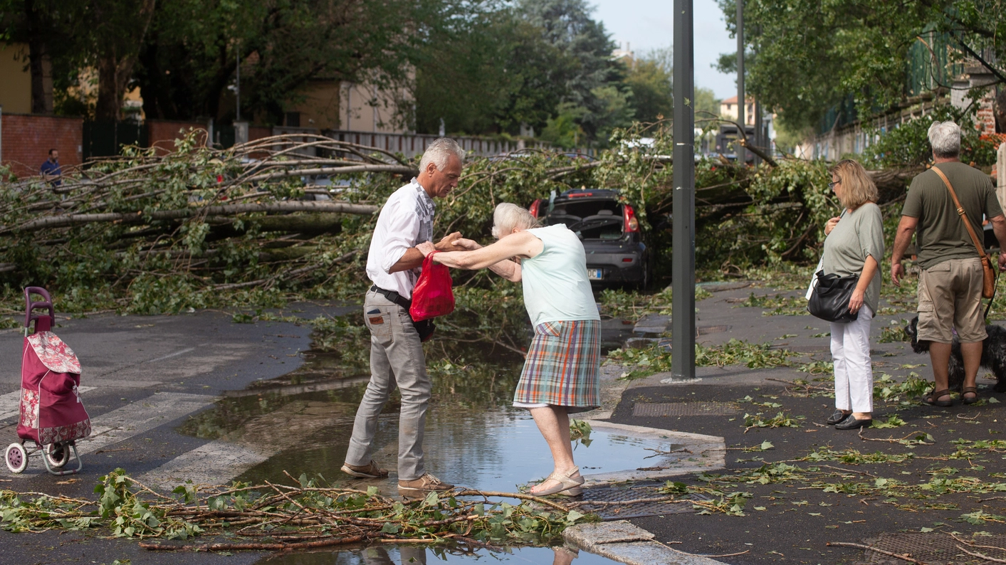 Strada allagata e alberi abbattuti in via Tonezza, nel quartiere Primaticcio a Milano