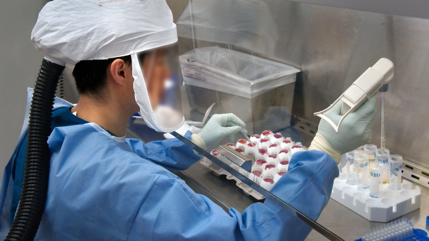 I test sierologici possono fornire un quadro più chiaro sulla diffusione del virus