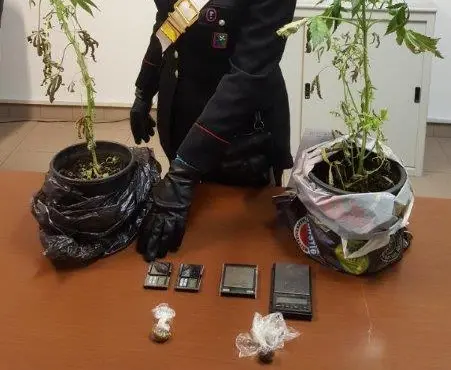 Primaluna, lite tra padre e figlio: i carabinieri trovano droga in casa