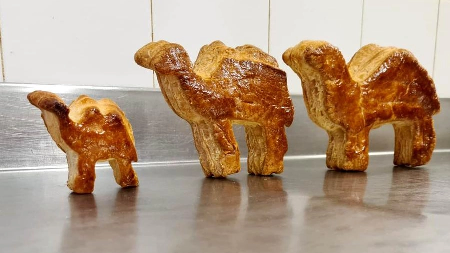 I tipici cammelli di pasta sfoglia