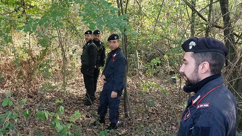 Altro sangue nel Parco Groane. Paura nei boschi dello spaccio Altro sangue nel Parco Groane. Paura nei boschi dello spaccio