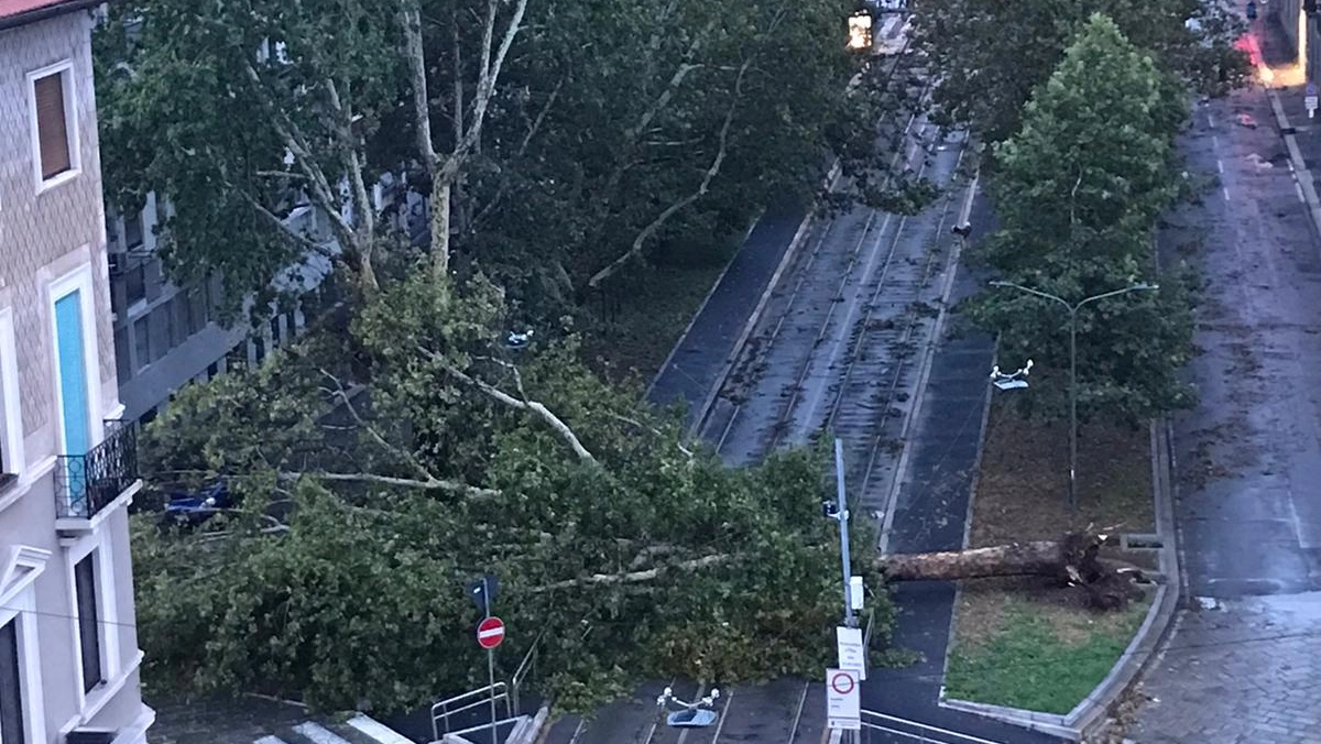 Alberi caduti sulla linea del tram a Milano