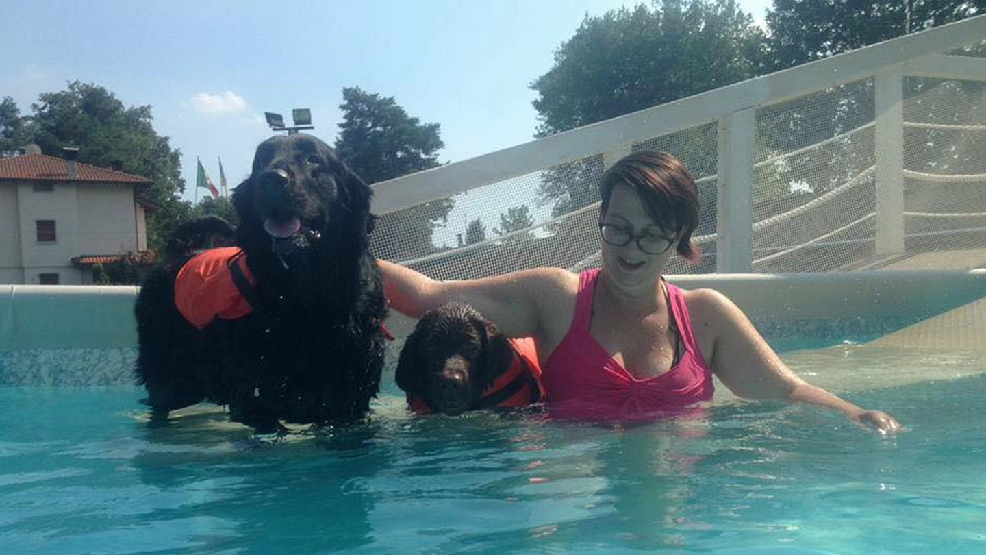 Cani e padroni in piscina