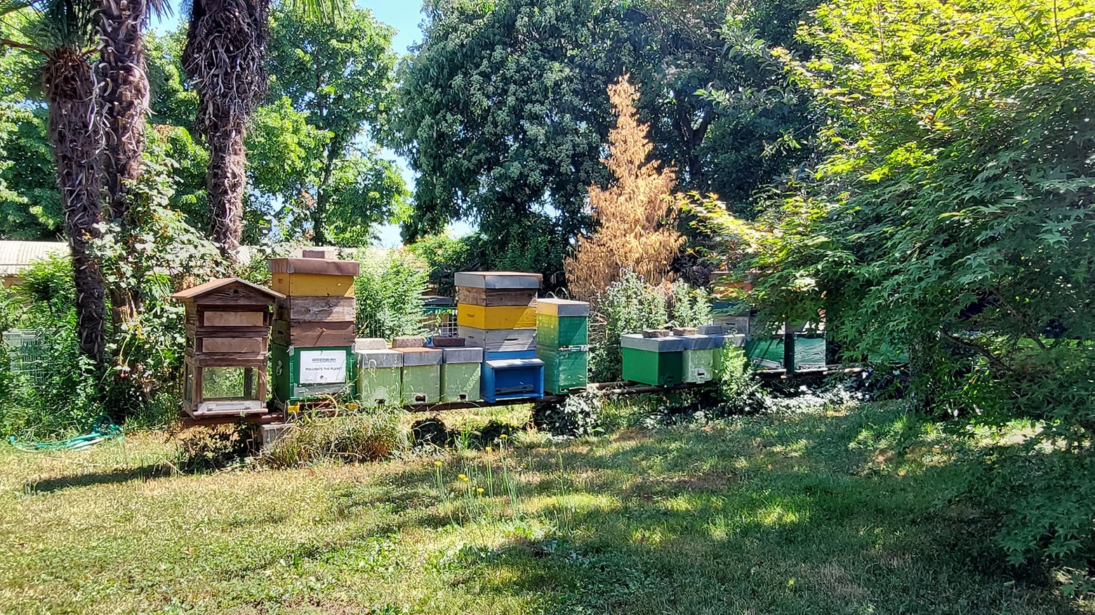La casa delle api all'Apicoltura Mandelli (foto: Geico Taikisha)