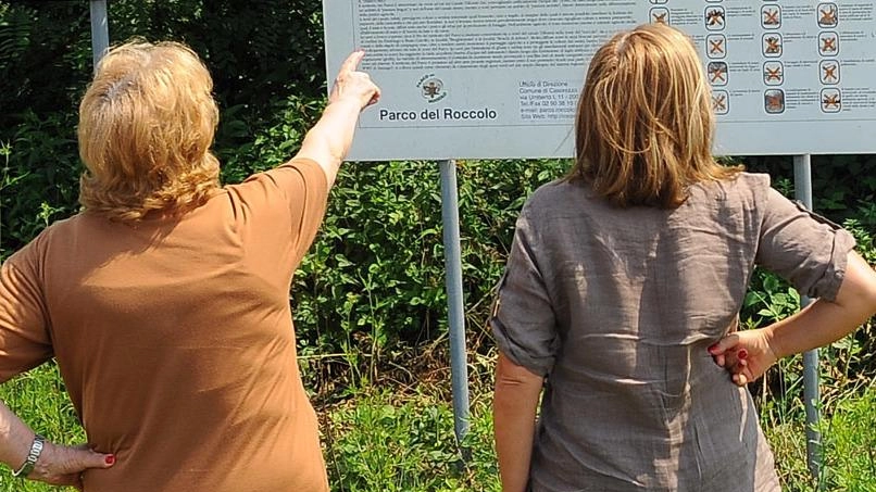 Bosco del Roccolo. Restyling dei sentieri Bosco del Roccolo. Restyling dei sentieri