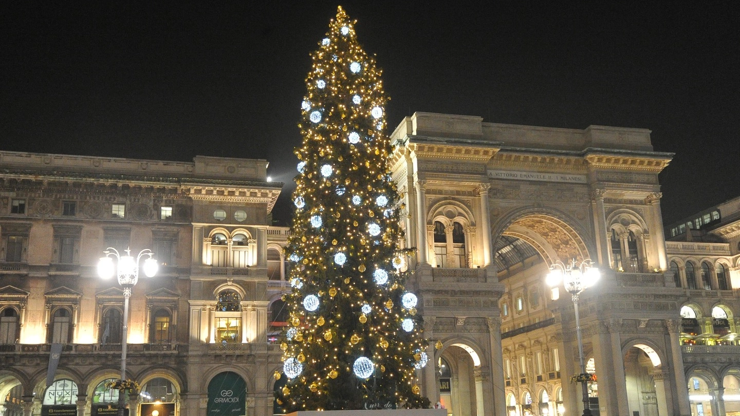 Albero di Natale in piazza Duomo