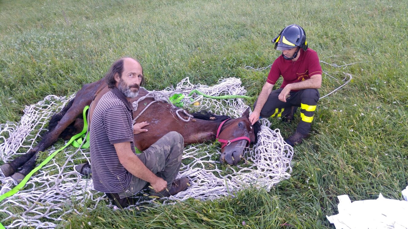 Il soccorso del cavallo da parte dei vigili del fuoco