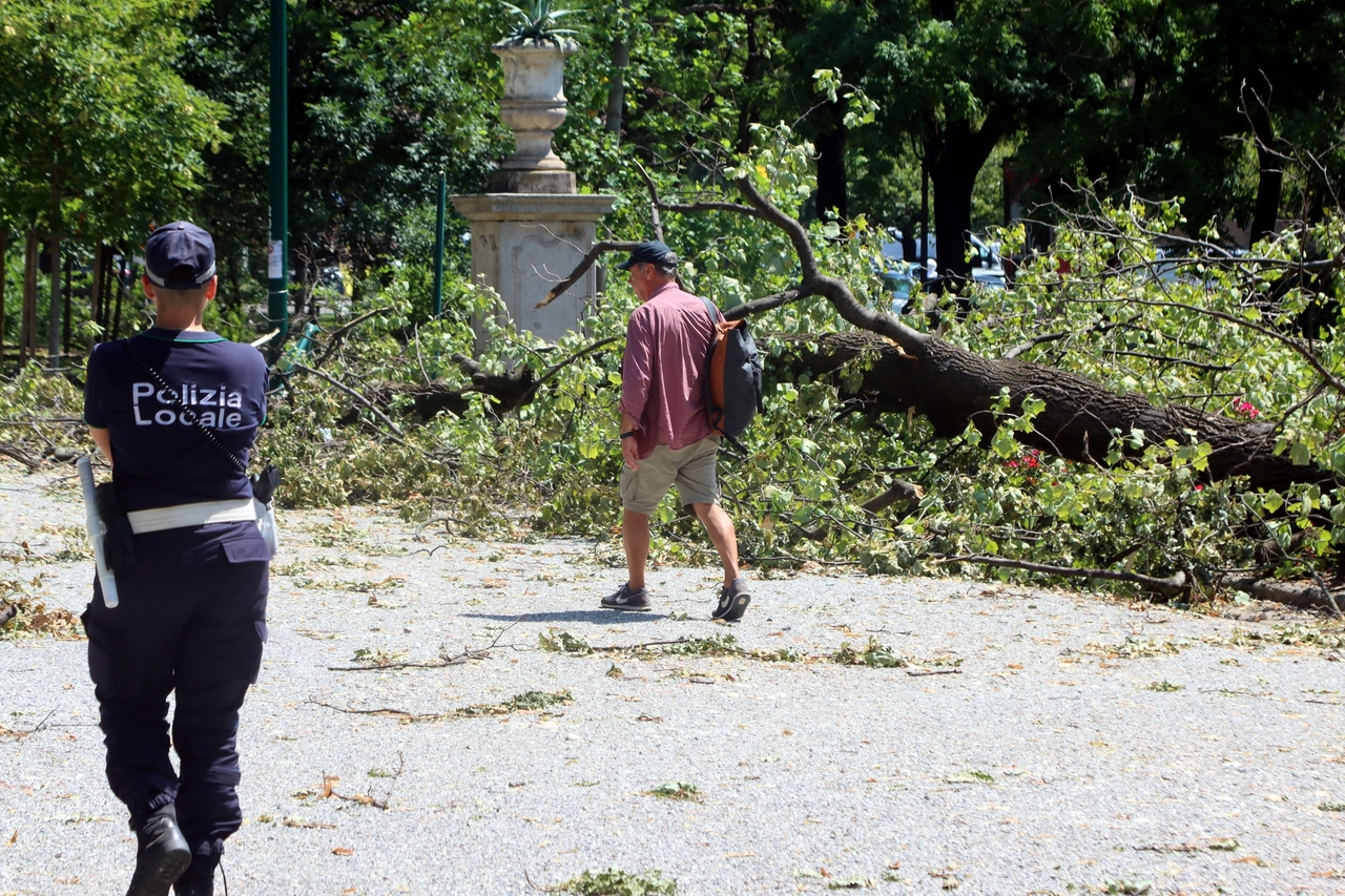 Situazione difficile ai giardini Montanelli