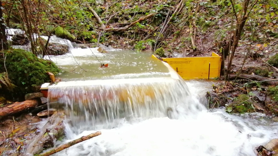 La barriera per salvare i gamberi