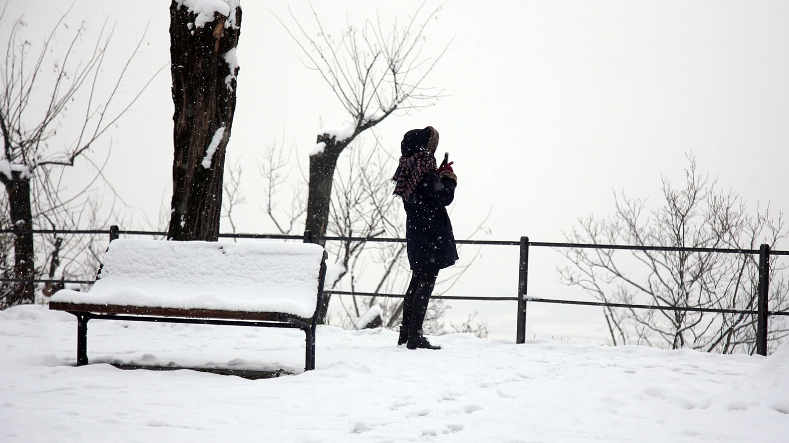 Neve in Lombardia (Fotolive)